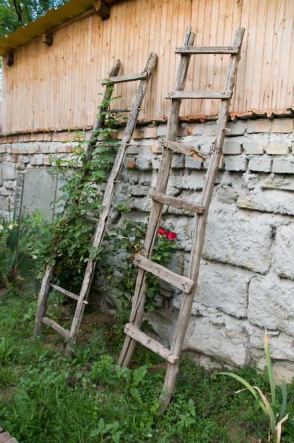 Apartmán Notas Tuecsoek Vendeghaz Agyagosszergény Exteriér fotografie