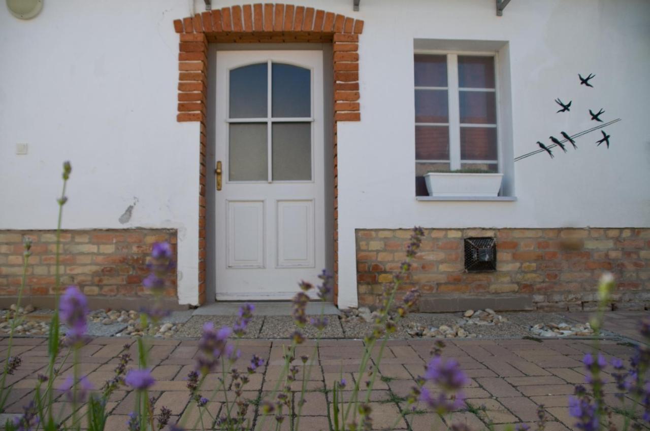 Apartmán Notas Tuecsoek Vendeghaz Agyagosszergény Exteriér fotografie