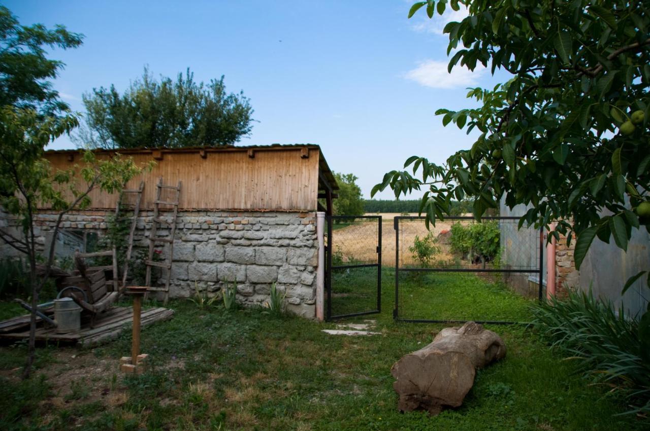 Apartmán Notas Tuecsoek Vendeghaz Agyagosszergény Exteriér fotografie
