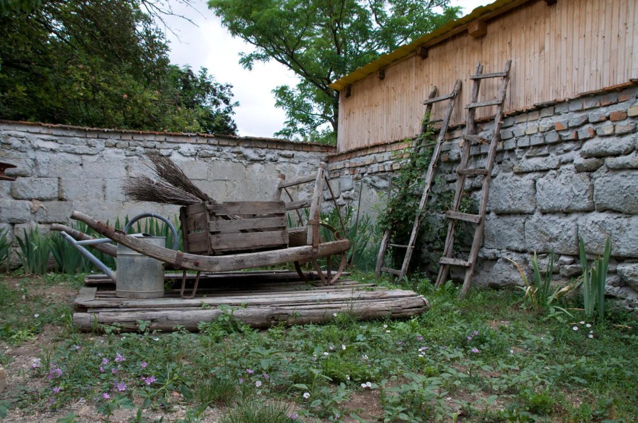 Apartmán Notas Tuecsoek Vendeghaz Agyagosszergény Exteriér fotografie